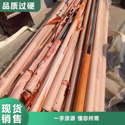 景观护栏_天桥护栏实拍展现